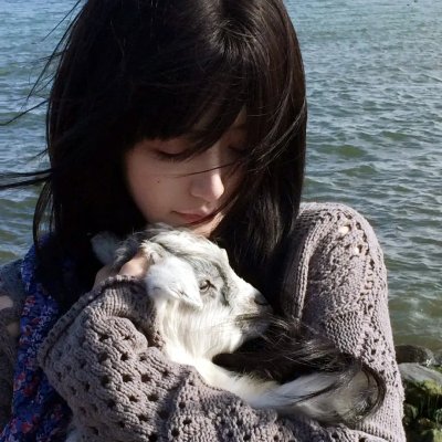 横冲直撞大逃亡