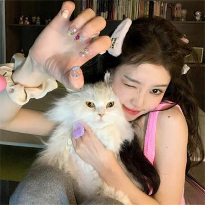 四小时逆袭指南